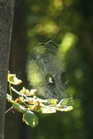 /album/fotos/img-6929-small-jpg/